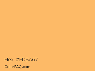 Hex #fdba67 Color Image