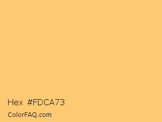 Hex #fdca73 Color Image