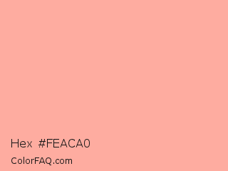 Hex #feaca0 Color Image