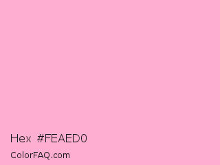 Hex #feaed0 Color Image