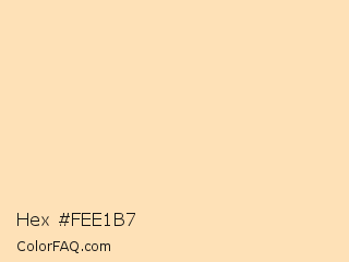 Hex #fee1b7 Color Image