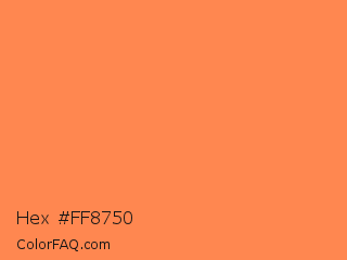 Hex #ff8750 Color Image