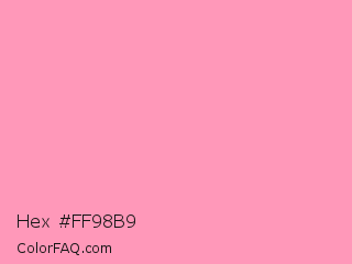 Hex #ff98b9 Color Image
