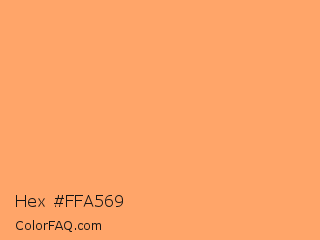 Hex #ffa569 Color Image