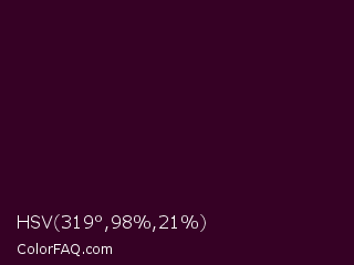 HSV 319°,98%,21% Color Image