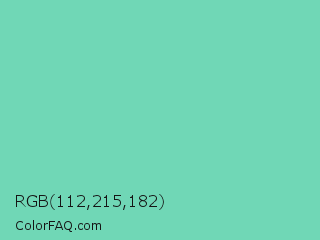 RGB 112,215,182 Color Image