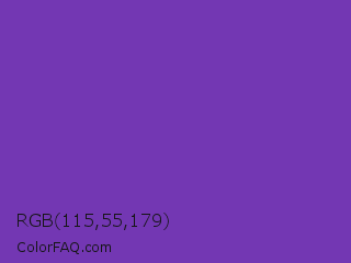 RGB 115,55,179 Color Image