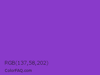 RGB 137,58,202 Color Image
