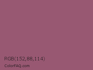 RGB 152,88,114 Color Image