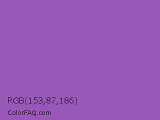 RGB 153,87,186 Color Image