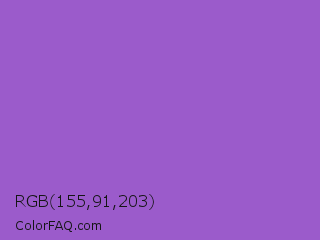 RGB 155,91,203 Color Image