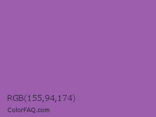 RGB 155,94,174 Color Image