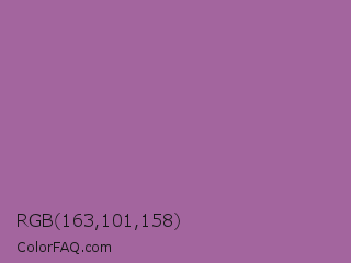 RGB 163,101,158 Color Image