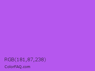 RGB 181,87,238 Color Image