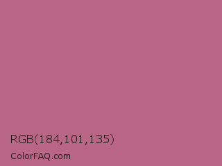 RGB 184,101,135 Color Image
