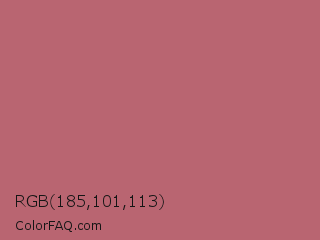 RGB 185,101,113 Color Image