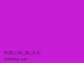 RGB 199,28,214 Color Image
