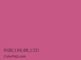 RGB 199,88,133 Color Image