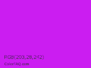 RGB 203,28,242 Color Image