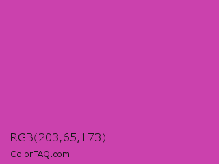 RGB 203,65,173 Color Image