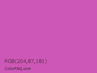 RGB 204,87,181 Color Image