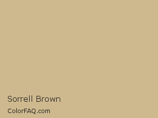 RGB 206,185,143 Sorrell Brown Color Image