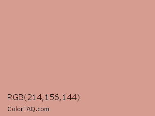 RGB 214,156,144 Color Image