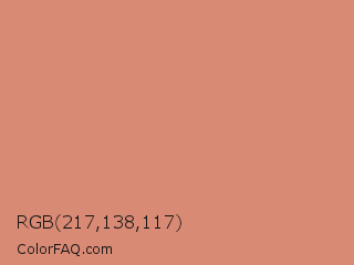 RGB 217,138,117 Color Image