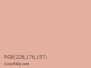 RGB 228,176,157 Color Image