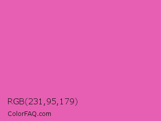 RGB 231,95,179 Color Image