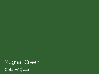 RGB 48,96,48 Mughal Green Color Image