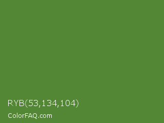 RYB 53,134,104 Color Image