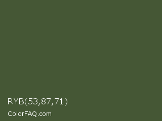 RYB 53,87,71 Color Image