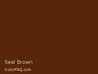 RYB 89,52,11 Seal Brown Color Image