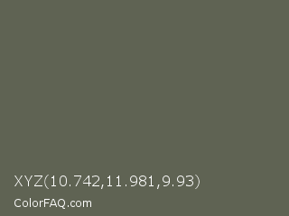 XYZ 10.742,11.981,9.93 Color Image