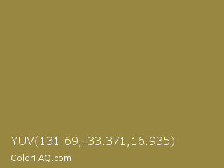 YUV 131.69,-33.371,16.935 Color Image