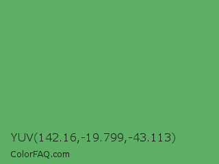 YUV 142.16,-19.799,-43.113 Color Image