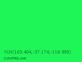 YUV 163.404,-37.174,-116.995 Color Image