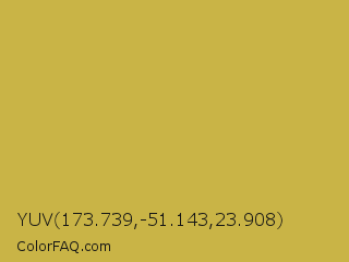 YUV 173.739,-51.143,23.908 Color Image